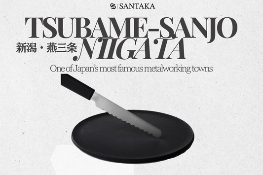 Tsubame-Sanjo, Niigata